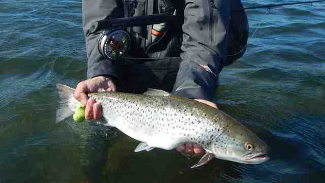 Foto Fishing Zealand Kopi 1800X904