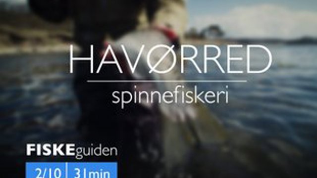 Thumbnail Havørred 2 10