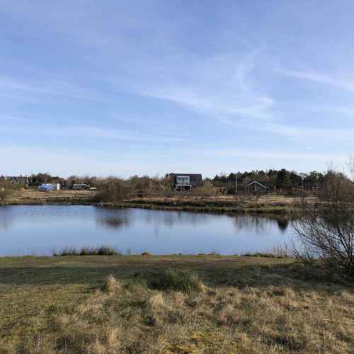 Stauning Havn Fiskesø