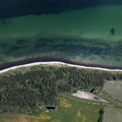 Ålebæk Strand