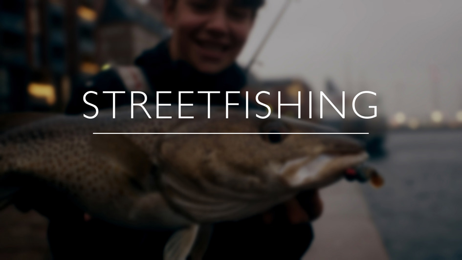 Streetfishing 1 1.3.1