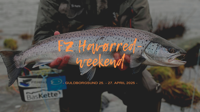 FZ Havørred Weekend (2)