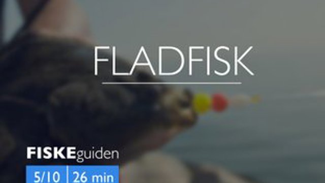 Thumbnail 5 10 Fladfisk