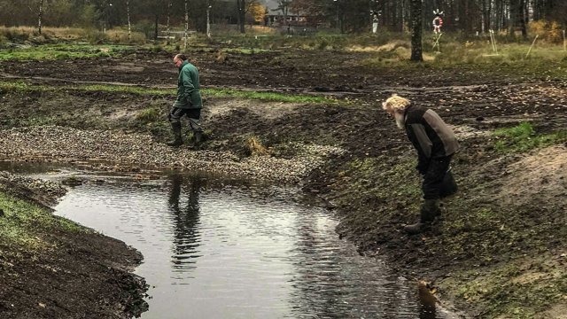 Grindsted Å