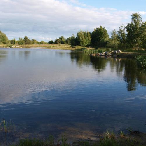 Læsø Fiskeø