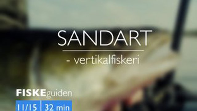 Thumbnail Sandart 11 15